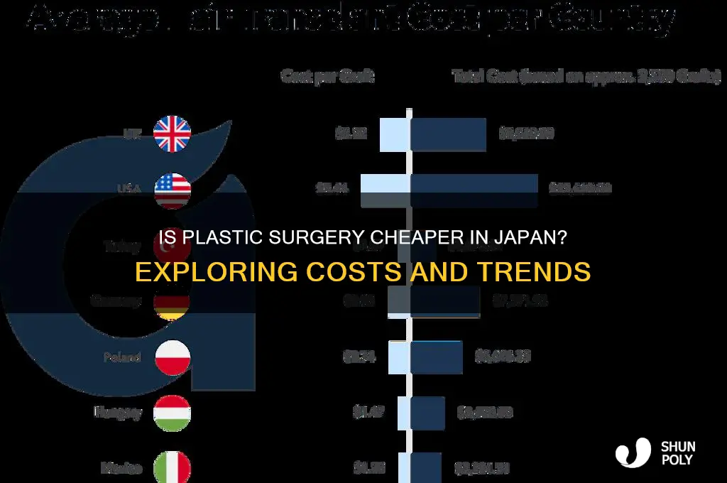 is plastic surgery cheaper in japan