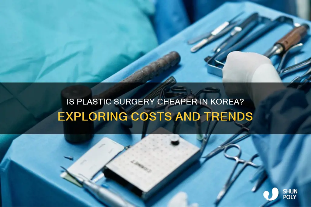 is plastic surgery cheaper in korea