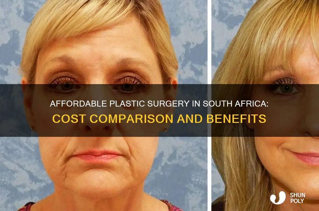 is plastic surgery cheaper in south africa