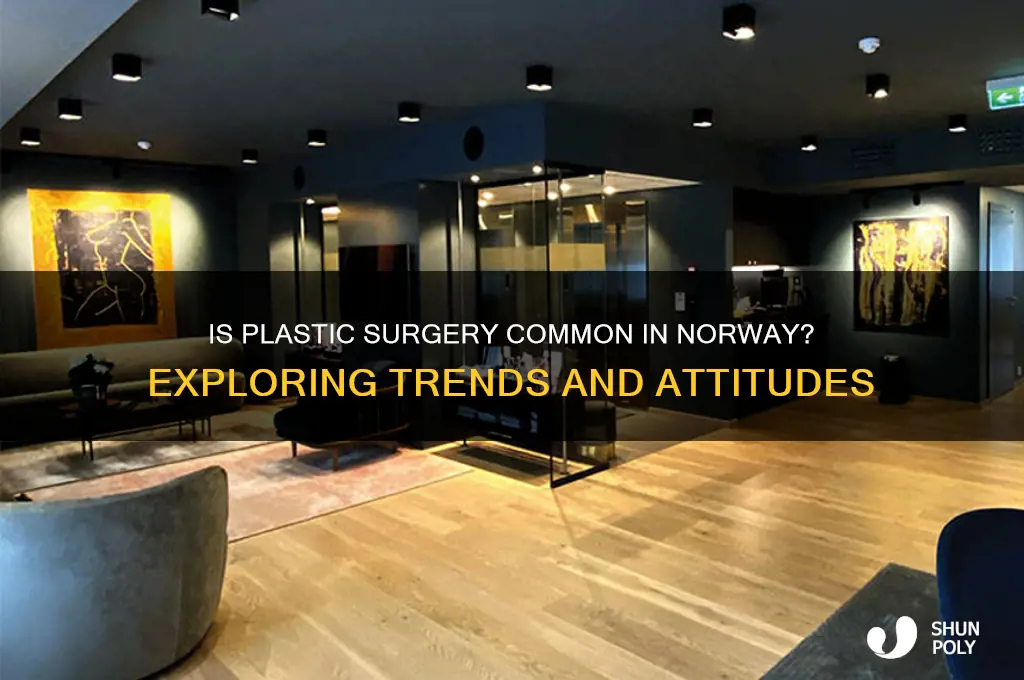 is plastic surgery common in norway