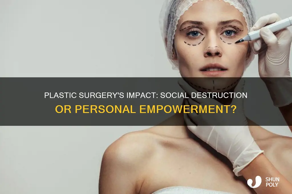is plastic surgery socially destructive