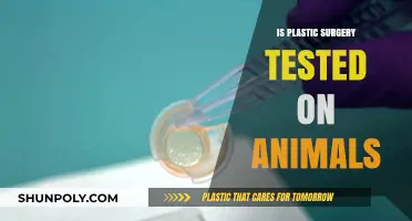 Is Plastic Surgery Cruelty-Free? Animal Testing Concerns Explored