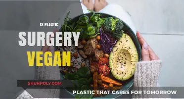 Is Plastic Surgery Vegan? Exploring Ethical Boundaries in Cosmetic Procedures