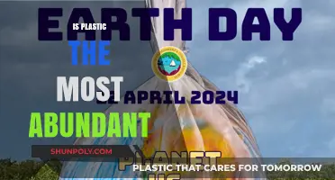Is Plastic the Most Abundant Material on Earth?