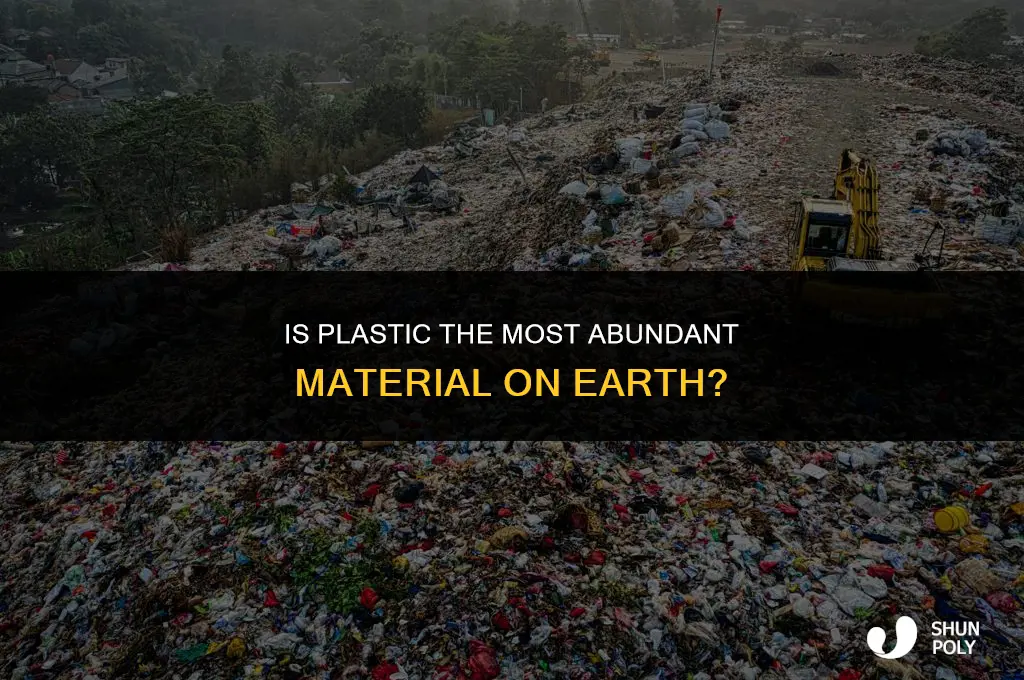 is plastic the most abundant