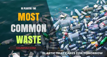 Plastic Waste: The Most Common Global Menace?