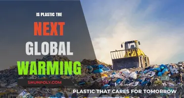 Plastic Pollution: The Next Global Crisis?