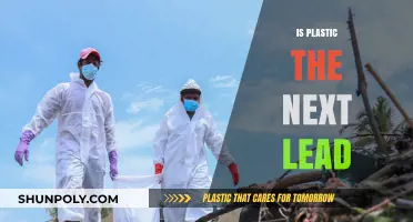 The Hidden Dangers of Plastic: Is It the Next Lead?