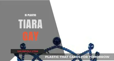 Exploring the Spectrum: Is a Plastic Tiara a Gay Symbol?