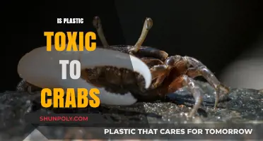 Unveiling the Truth: Plastic's Toxic Impact on Crab Populations