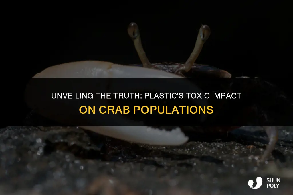 is plastic toxic to crabs