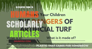 Plastic Toxicity: Human Health Impact Analysis