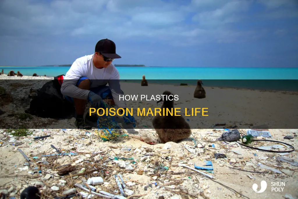 is plastic toxic to marine life