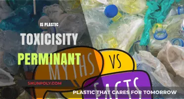 Unraveling the Myths: Is Plastic Toxicity Truly Permanent?