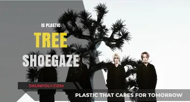 Exploring the Sonic Landscape: Is Plastic Tree Shoegaze?