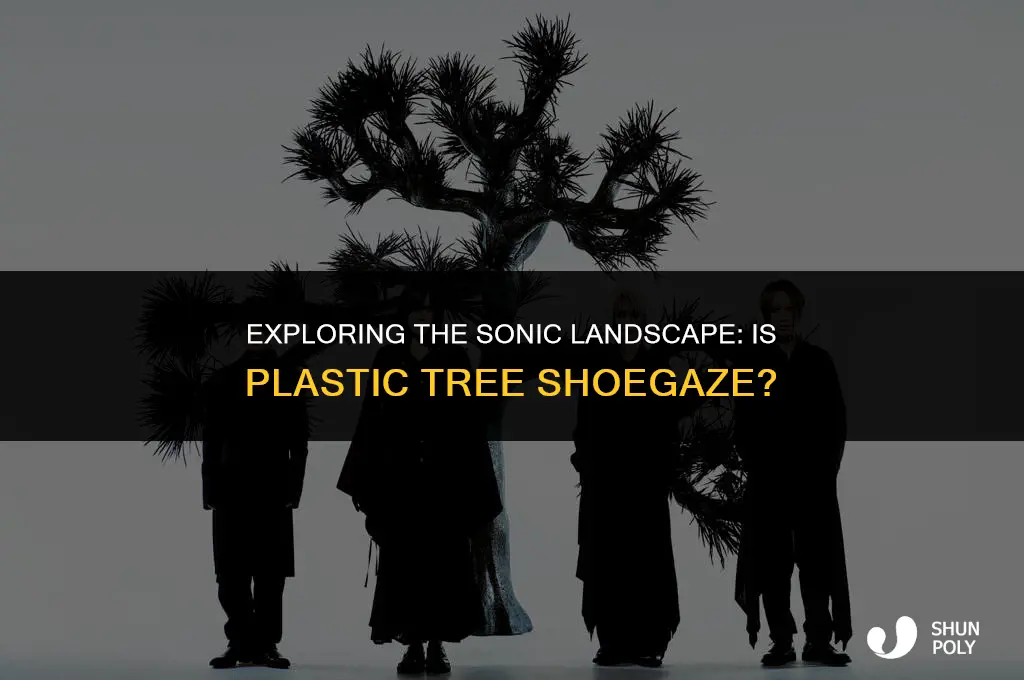 is plastic tree shoegaze