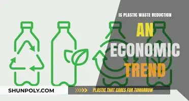 Plastic Waste: An Economic Trend?