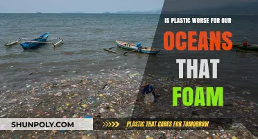 Decoding Ocean Threats: The Plastic vs. Foam Debate Unveiled