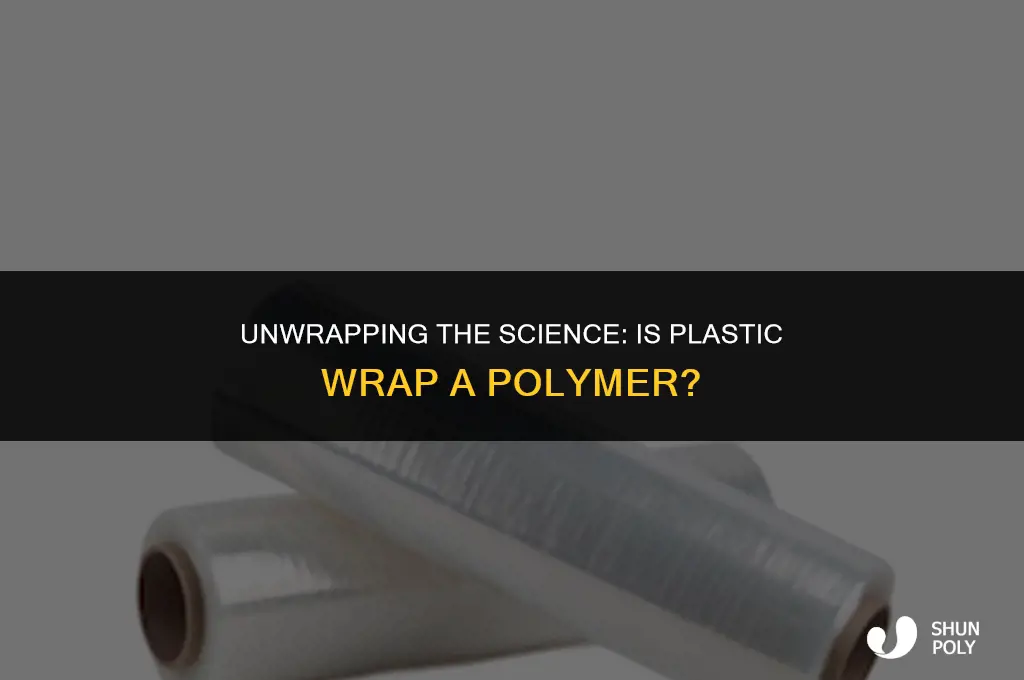 is plastic wrap a polymer
