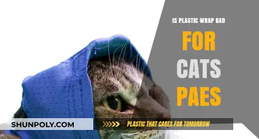 The Hidden Dangers of Plastic Wrap for Curious Cats