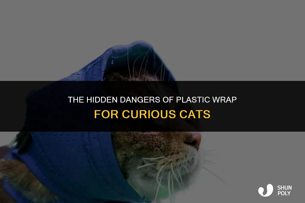 is plastic wrap bad for cats paes