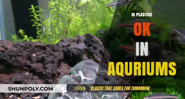 Exploring the Safety of Plastic in Aquariums: A Comprehensive Guide
