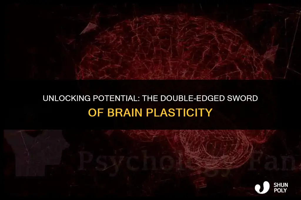 is plasticity for the brain a good thing