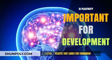 Unlocking Potential: The Crucial Role of Plasticity in Development