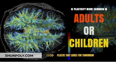 Exploring Plasticity: A Comparative Look at Adult and Child Brains
