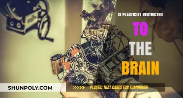 Plasticity Beyond Brain: Exploring the Body's Adaptive Abilities