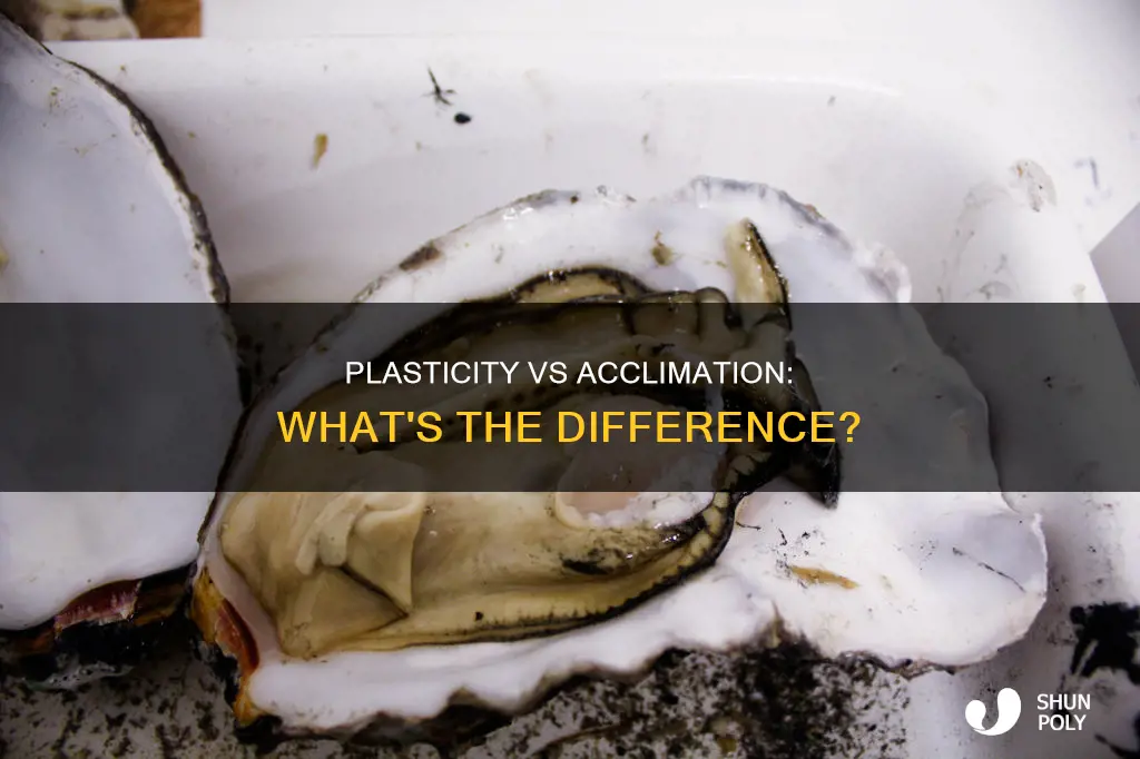 is plasticity the same as acclimation