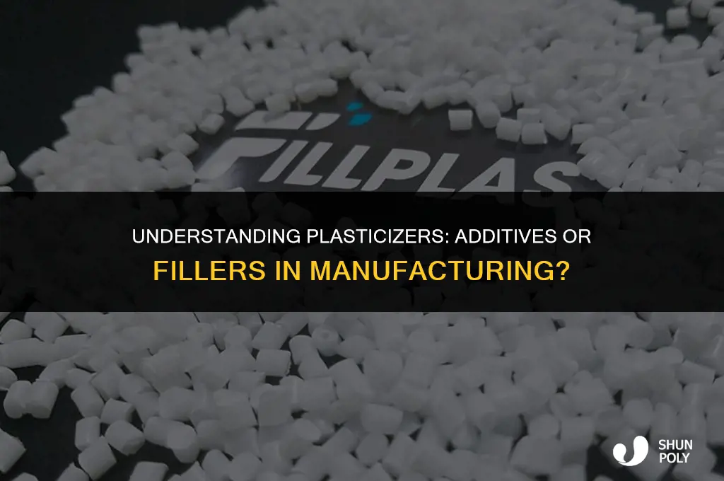is plasticizer additive or filler