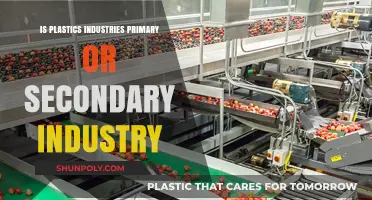 Plastic Industries: Primary or Secondary?