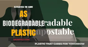 Biodegradable Plastic: Is It Really Plastic?