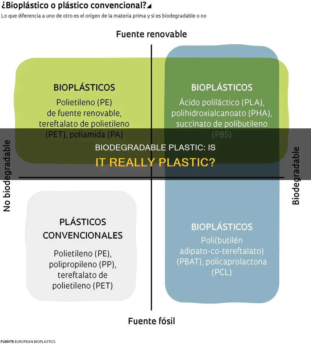 is plastics the same as biodegradable plastic
