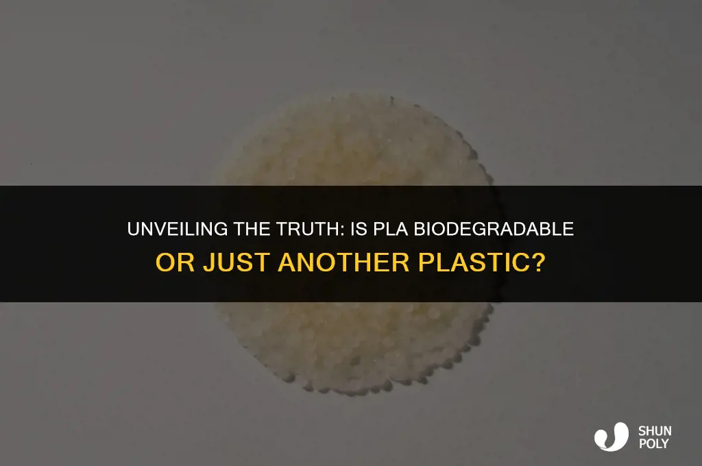 is plike paper plastic