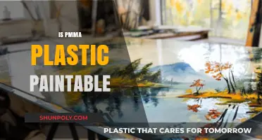 Exploring the Paintability of PMMA Plastic: Tips and Techniques