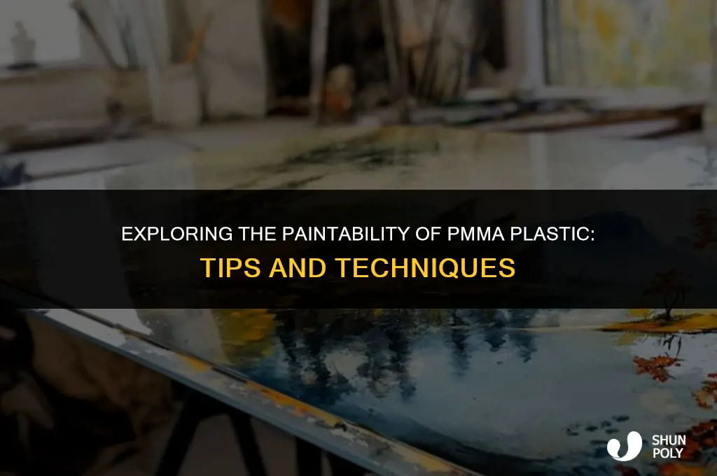 is pmma plastic paintable