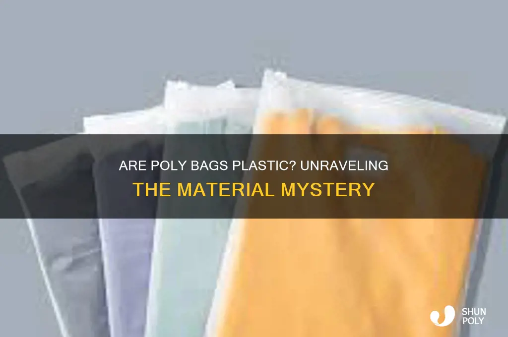 is poly bags plastic