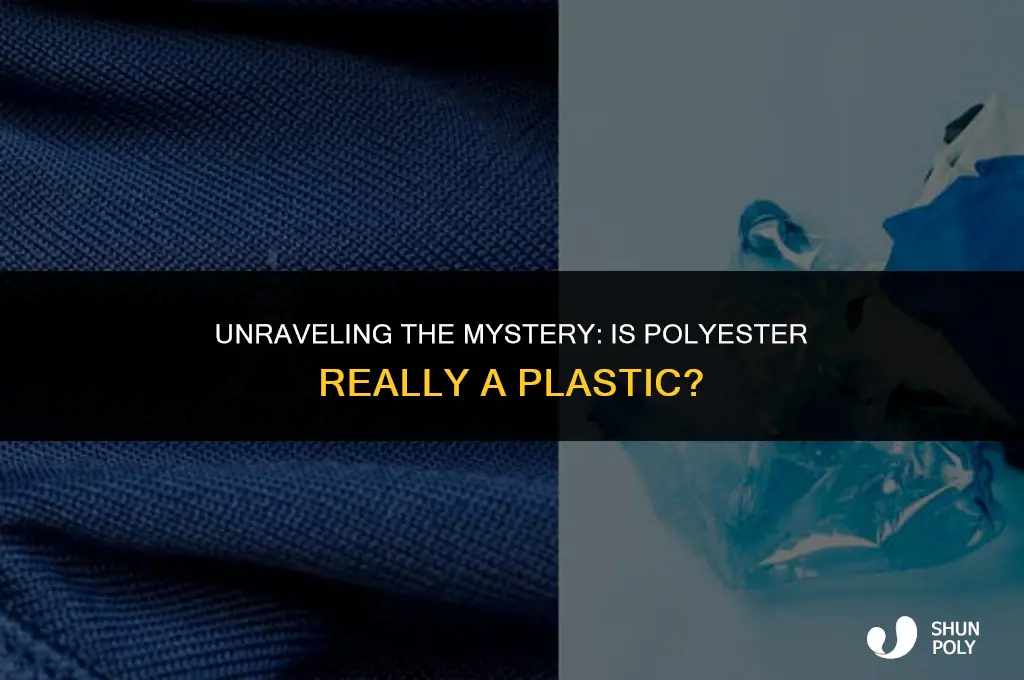 is poly ester a plastic
