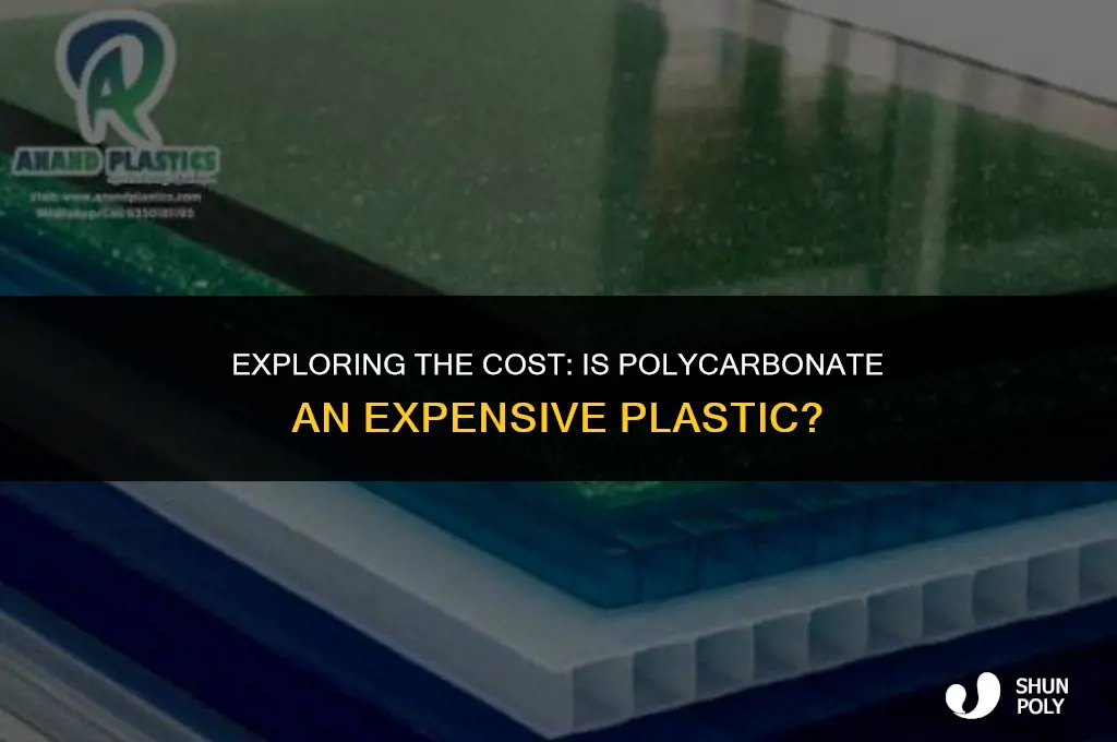 is polycarbonate an expensive plastic