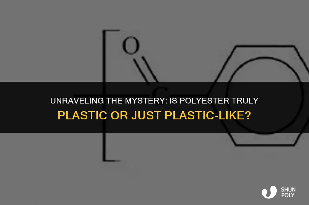 is polyester plastic or a plastic like material
