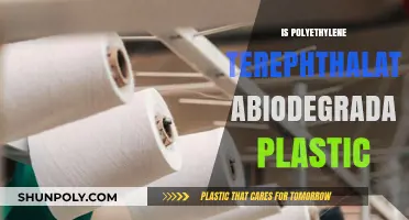 The Truth About Polyethylene Terephthalate: Is It Biodegradable?