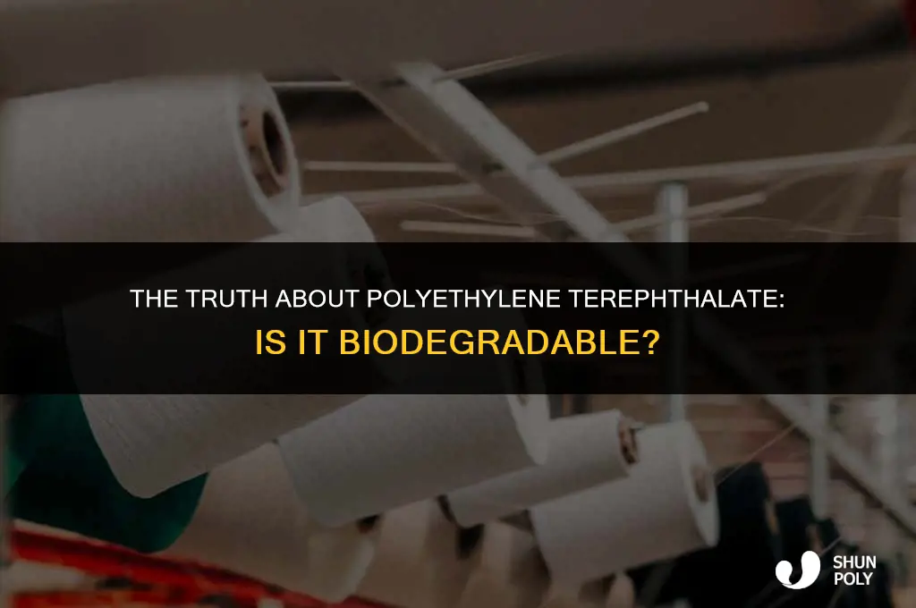 is polyethylene terephthalate abiodegradable plastic