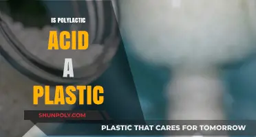 Unveiling the Truth: Polylactic Acid - Plastic or Not?