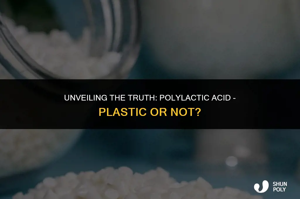 is polylactic acid a plastic