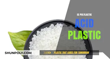 Unveiling the Truth: Is Polylactic Acid Truly Plastic?