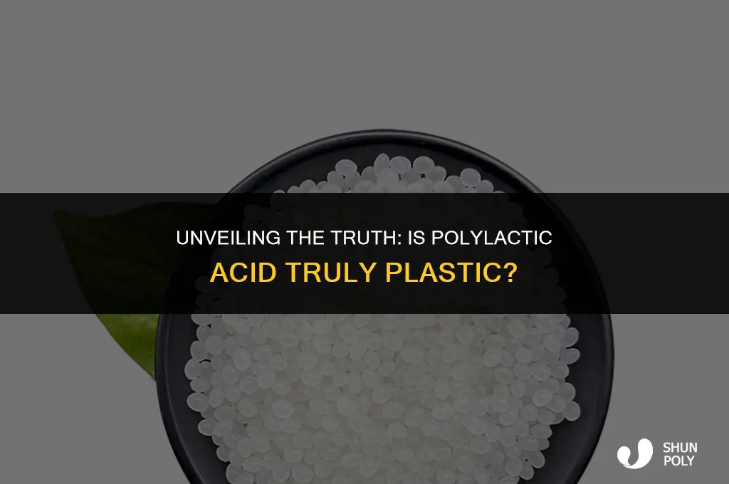 is polylactic acid plastic