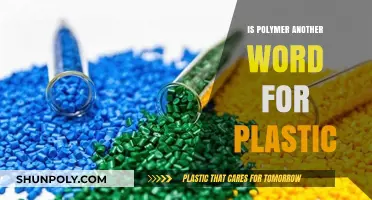 The Misunderstood Polymer: Plastic's True Identity
