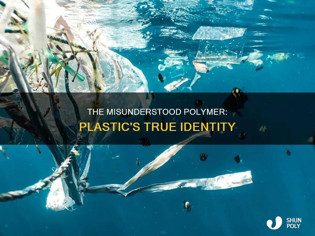 is polymer another word for plastic